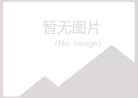 田东县清新造纸有限公司